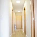 Fin Del Camino Appartement